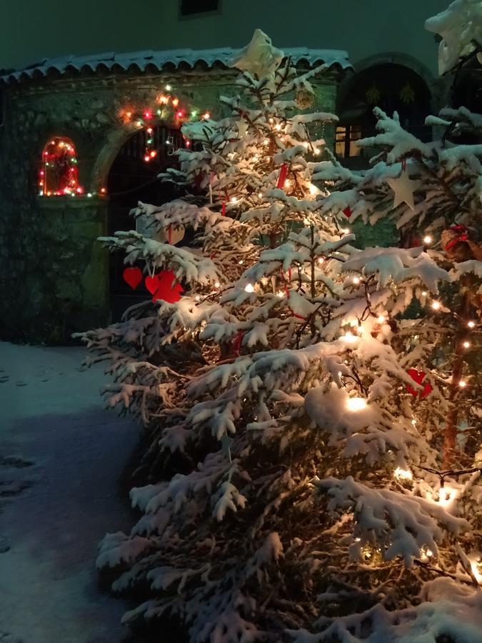 Bed and Breakfast Profum Di Bosc Арта-Терме Экстерьер фото